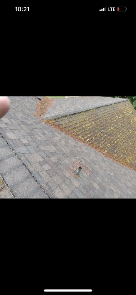 Professional outdoor landscaping experts serving Bremerton, WA - Ramiro Matías Lorenzo Landscaping