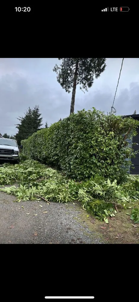 Top-rated yard maintenance in Bremerton, WA - Ramiro Matías Lorenzo Landscaping