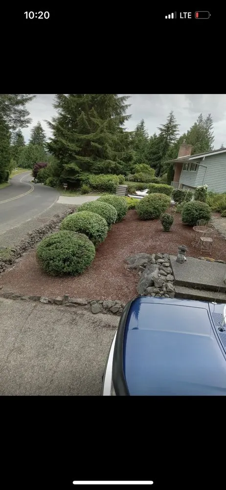 Reliable yard cleanup service for beautiful yards across Bremerton, WA - Ramiro Matías Lorenzo Landscaping