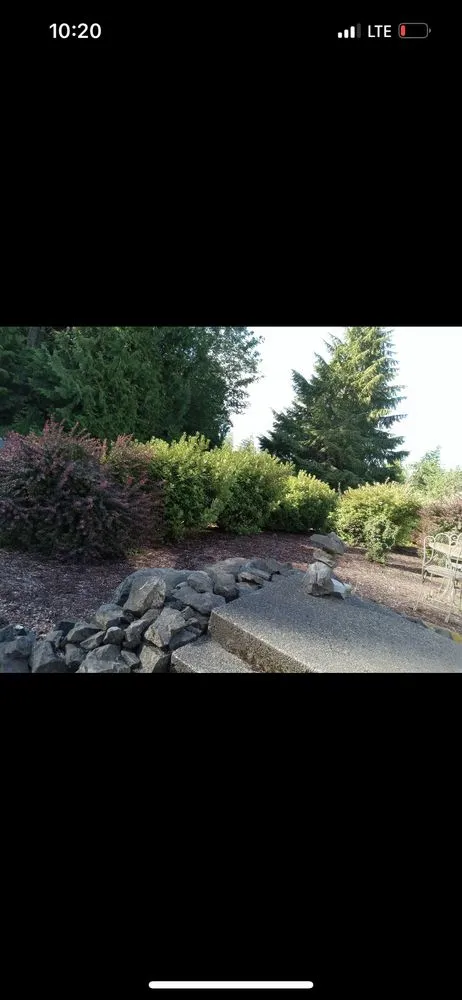 Professional yard maintenance experts serving Bremerton, WA - Ramiro Matías Lorenzo Landscaping