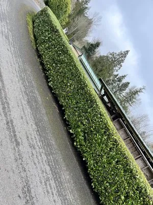 Ramiro Matías Lorenzo Landscaping