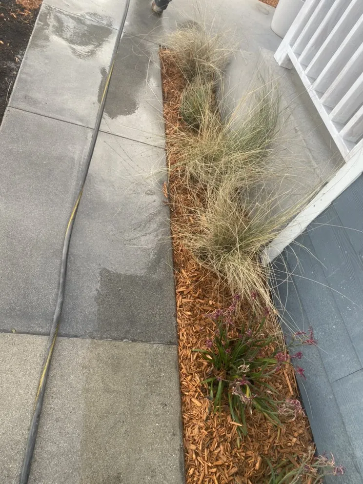 Trusted outdoor landscaping for residential properties in Los Angeles, CA by Ramiro Nunez Landscaping & Maintenance