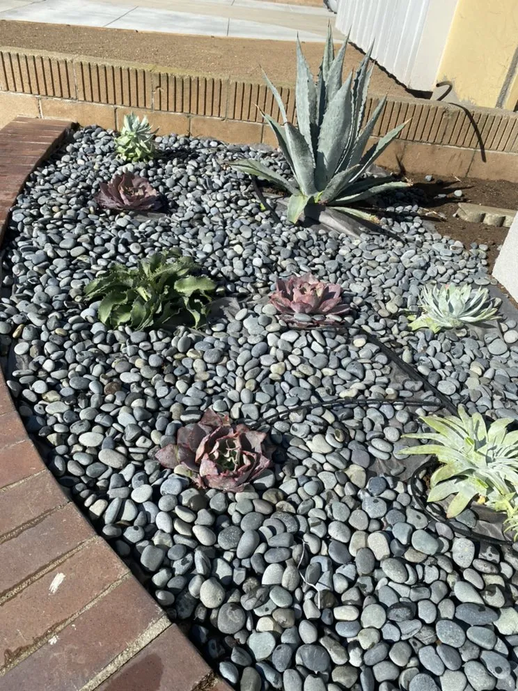 Top-rated outdoor landscaping in Los Angeles, CA - Ramiro Nunez Landscaping & Maintenance