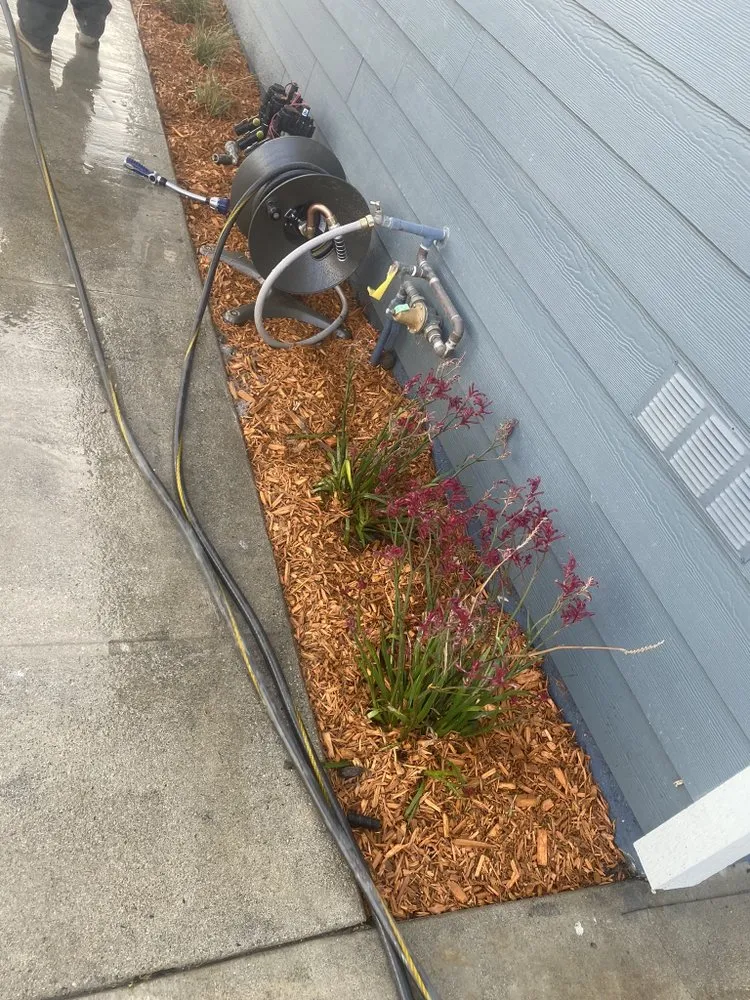 Expert yard maintenance experts serving Los Angeles, CA - Ramiro Nunez Landscaping & Maintenance