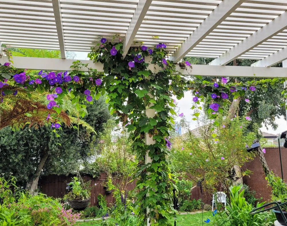 Custom lawn care service experts serving Los Angeles, CA - Ramiro Nunez Landscaping & Maintenance