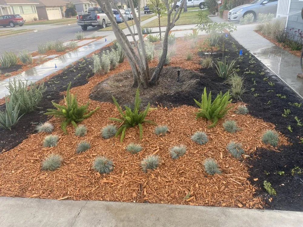 Custom residential landscaping experts serving Los Angeles, CA - Ramiro Nunez Landscaping & Maintenance