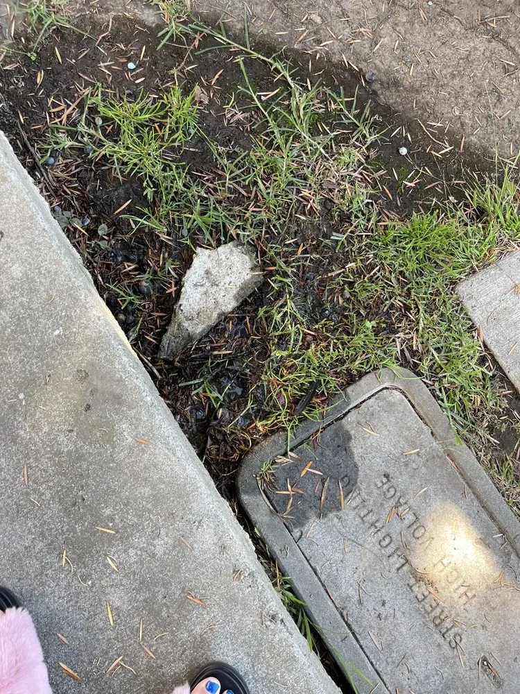 Expert residential landscaping in Los Angeles, CA - Ramiro Nunez Landscaping & Maintenance