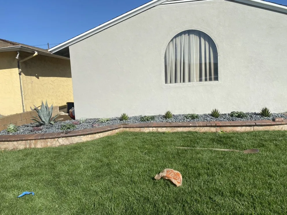 Top-rated lawn care service in Los Angeles, CA - Ramiro Nunez Landscaping & Maintenance