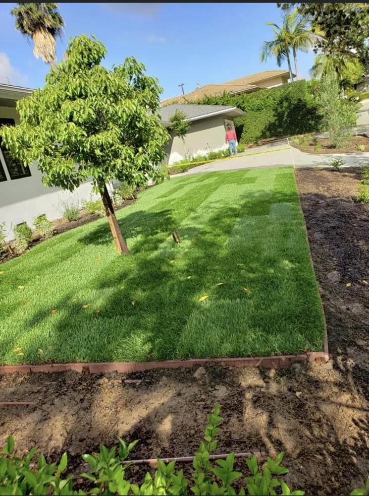 Reliable lawn care service for year-round maintenance in Orange, CA by Ramiro's Concrete and Landscaping