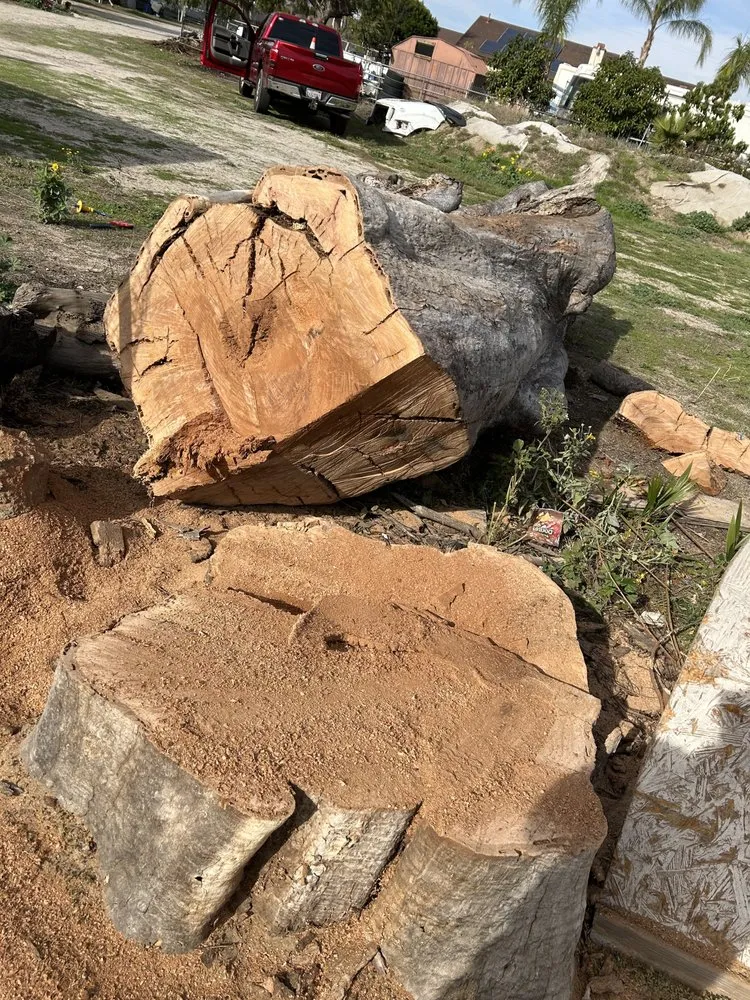 Local lawn care service in Riverside, CA - Ramiro’s tree service & landscaping