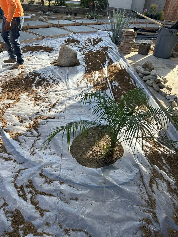 Reliable landscape design in Riverside, CA by Ramiro’s tree service & landscaping