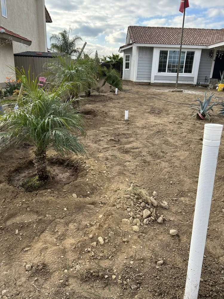 Local yard cleanup service for homes across Riverside, CA - Ramiro’s tree service & landscaping
