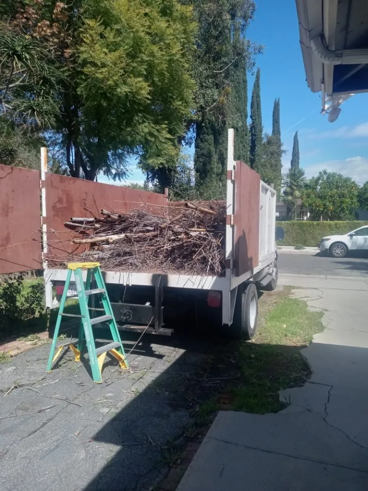 Top-rated landscaping services in Canoga Park, CA by Ramiro's Tree Service