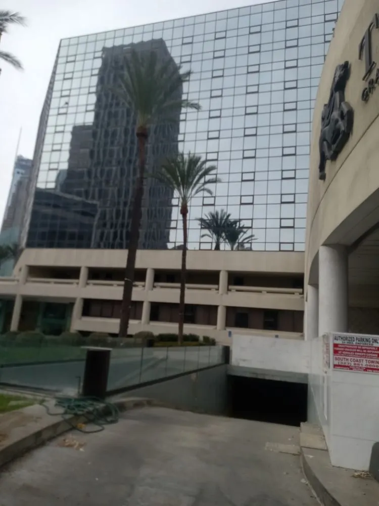 Professional yard maintenance in Canoga Park, CA - Ramiro's Tree Service