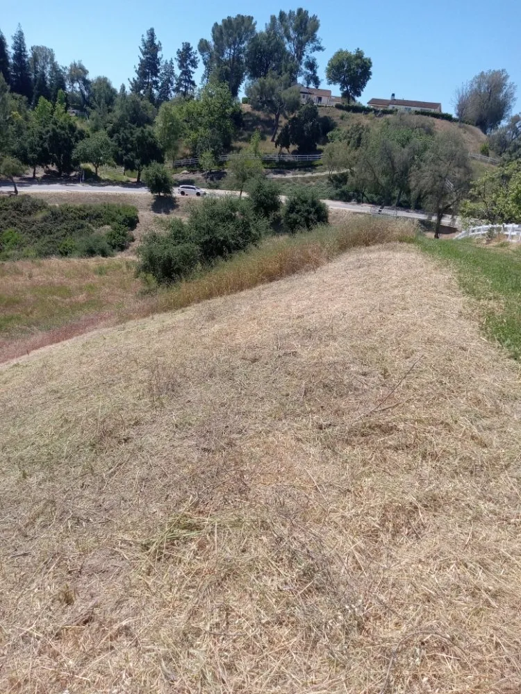 Professional landscape installation experts serving Canoga Park, CA - Ramiro's Tree Service