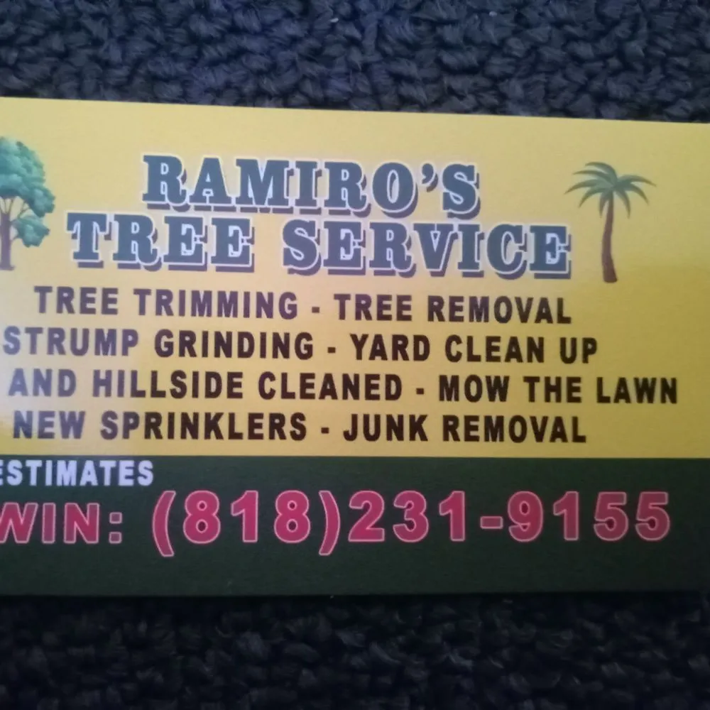 Trusted yard cleanup service in Canoga Park, CA - Ramiro's Tree Service