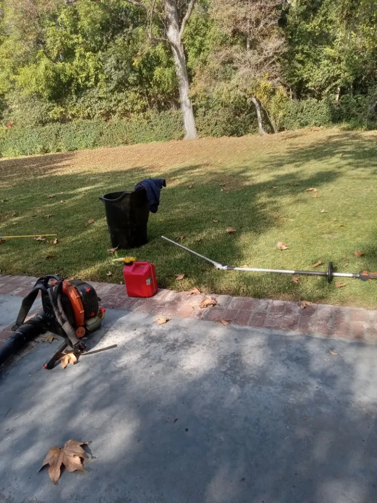 Affordable yard maintenance in Canoga Park, CA by Ramiro's Tree Service