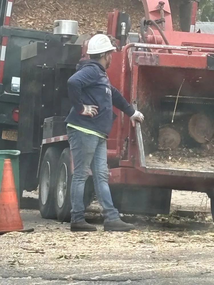 Affordable yard maintenance for year-round maintenance across New Rochelle, NY - Ramiro's Tree Service