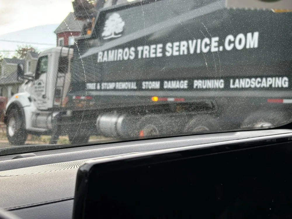 Local yard cleanup service experts serving New Rochelle, NY - Ramiro's Tree Service