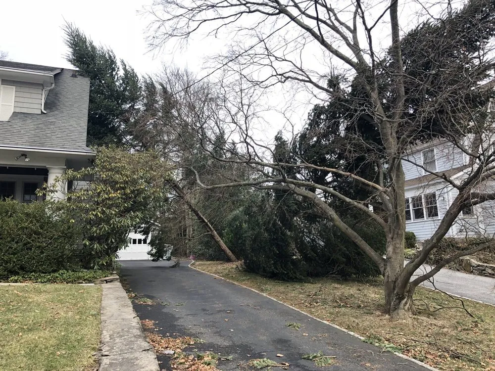 Affordable outdoor landscaping experts serving New Rochelle, NY - Ramiro's Tree Service