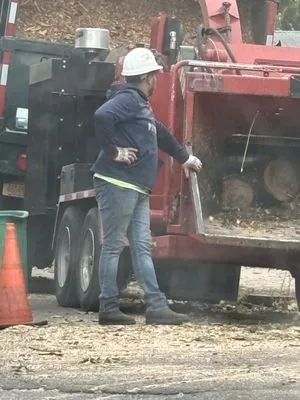 Ramiro's Tree Service