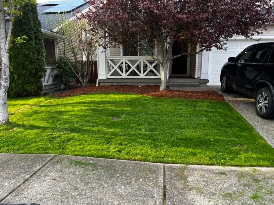 Top-rated lawn care service near you in Tacoma, WA by Rami’s Landscaping