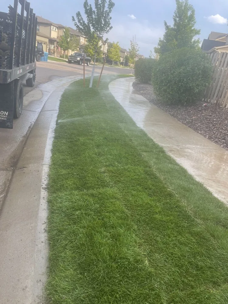 Expert landscape installation experts serving Commerce City, CO - Ramiz Landscaping