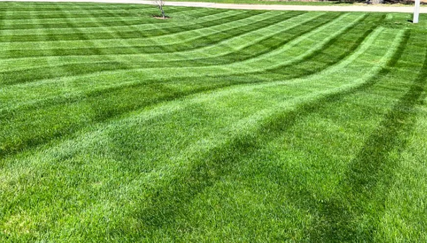 Expert lawn care service with custom design across Elkhorn, NE - Ramm Lawn & Snow