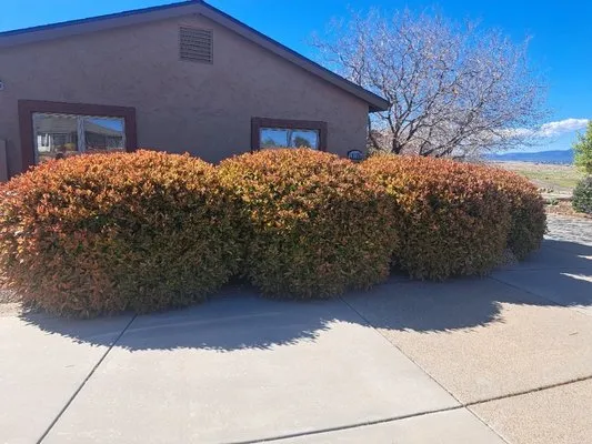 Rammscapes Landscaping