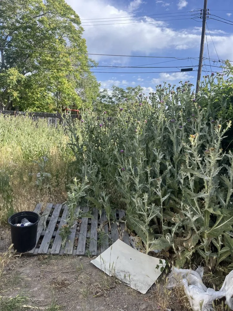 Affordable yard maintenance for homes across Salt Lake City, UT - Ramón Rojas