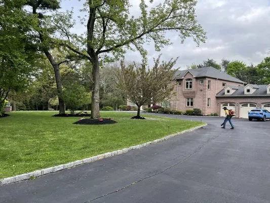 Ramon Landscaping Logo