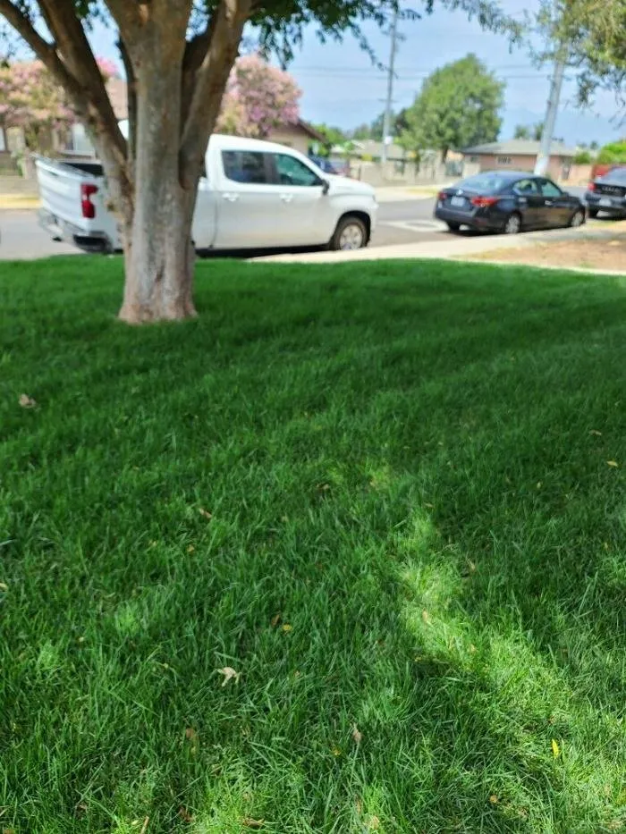 Local outdoor landscaping in Rancho Cucamonga, CA - Ramon Landscaping Service