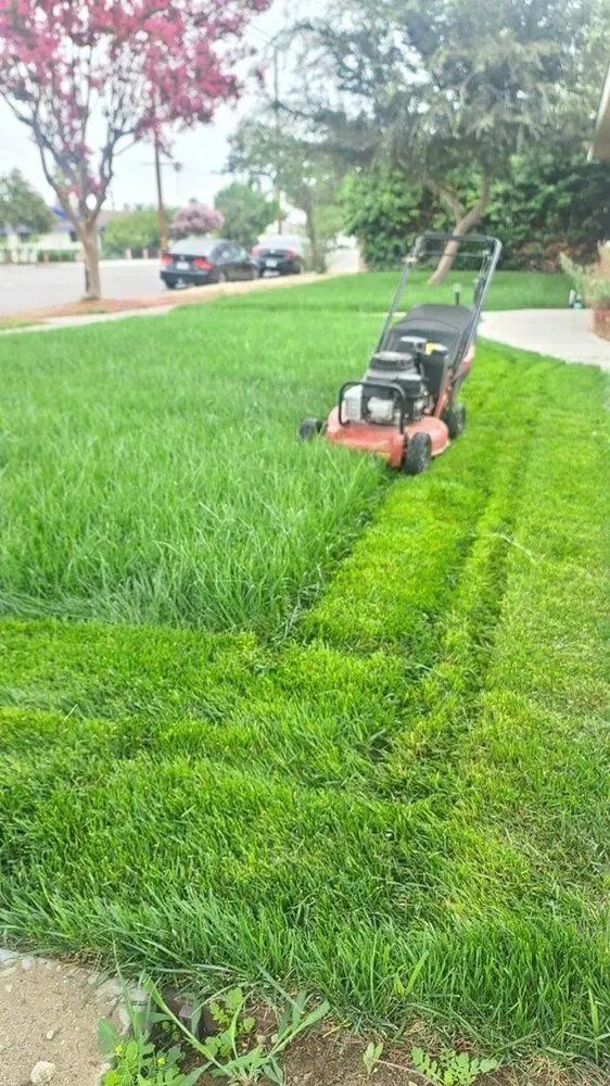 Trusted lawn mowing service experts serving Rancho Cucamonga, CA - Ramon Landscaping Service