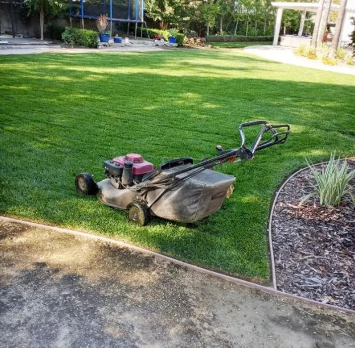 Local outdoor landscaping experts serving Rancho Cucamonga, CA - Ramon Landscaping Service