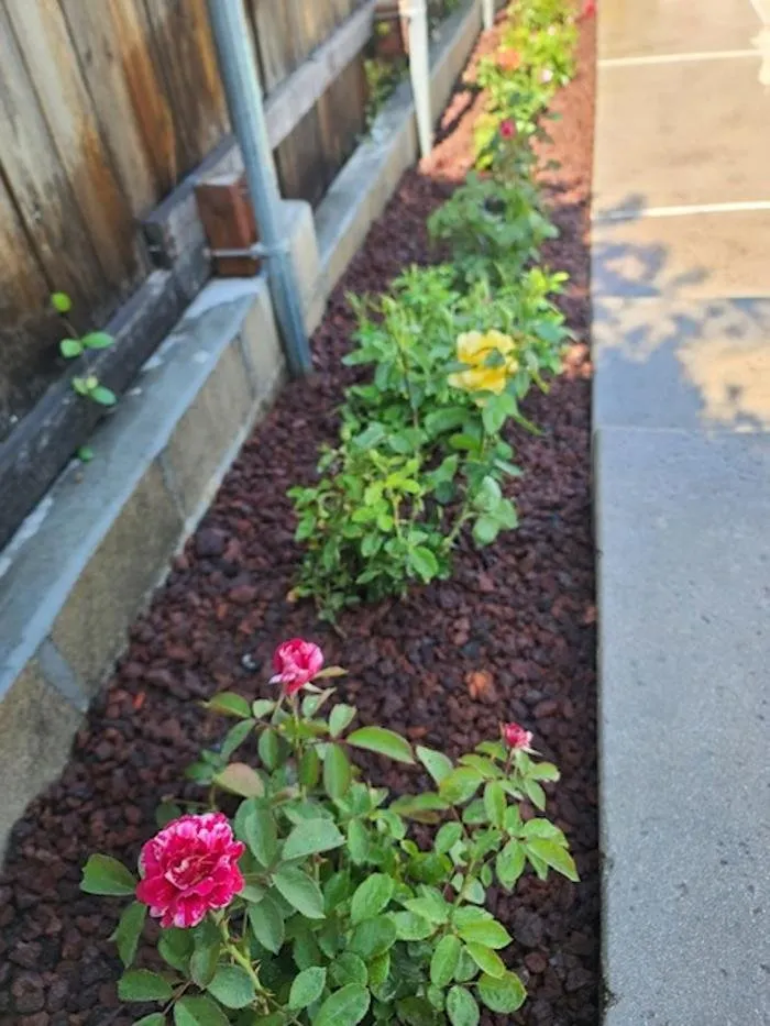 Top-rated landscaping services for residential properties in Rancho Cucamonga, CA by Ramon Landscaping Service