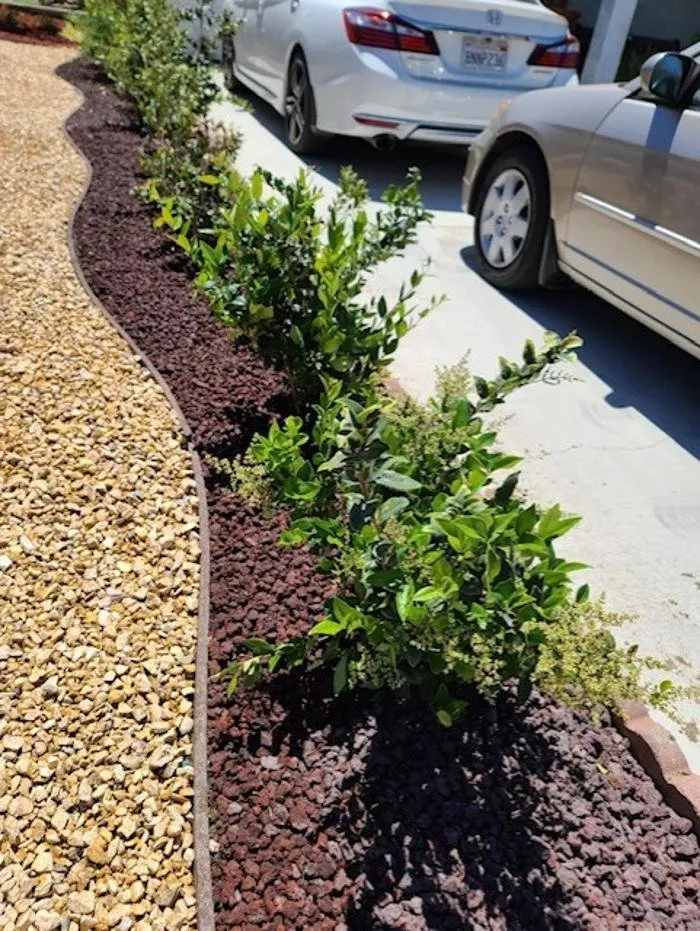 Top-rated lawn care service near you in Rancho Cucamonga, CA by Ramon Landscaping Service