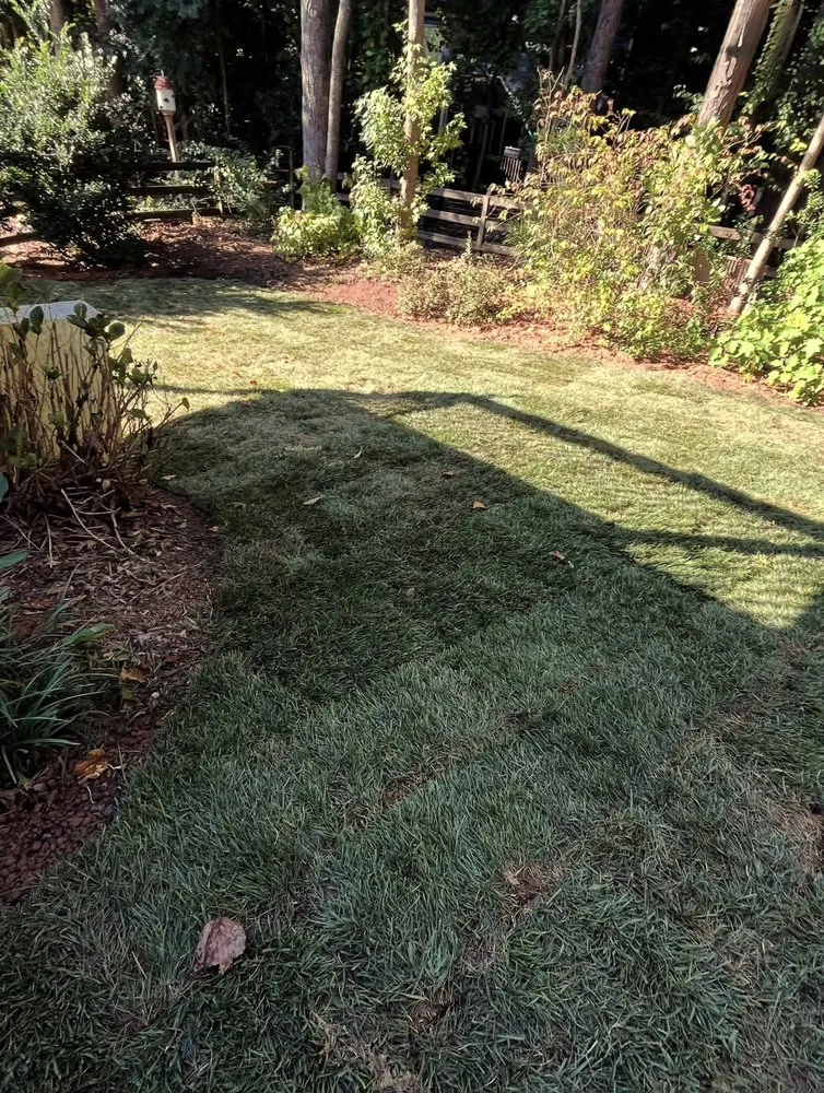 Professional lawn care service for beautiful yards in Marietta, GA by Ramon Lawn Maintenance