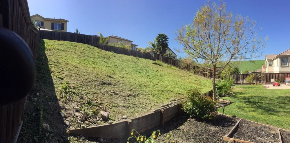 Affordable residential landscaping for beautiful yards across Hayward, CA - Ramon Villanueva's Gardening and Maintenance Lawn Aeration