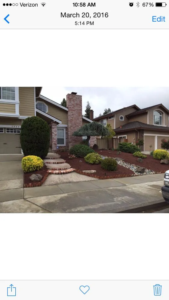Professional yard cleanup service for residential properties across Hayward, CA - Ramon Villanueva's Gardening and Maintenance Lawn Aeration