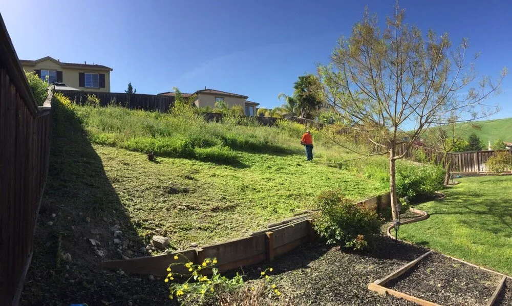 Custom yard cleanup service in Hayward, CA - Ramon Villanueva's Gardening and Maintenance Lawn Aeration
