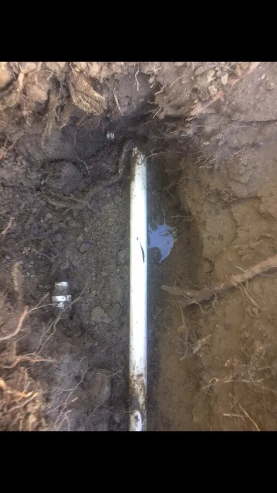 Top-rated lawn mowing service for homes in Hayward, CA by Ramon Villanueva's Gardening and Maintenance Lawn Aeration