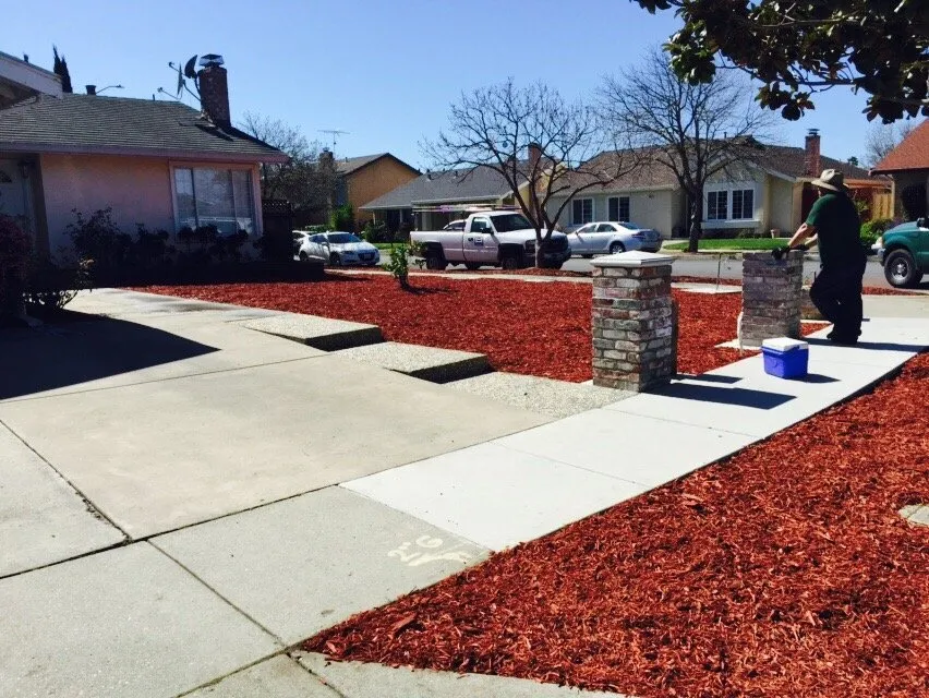 Custom lawn care service in Hayward, CA by Ramon Villanueva's Gardening and Maintenance Lawn Aeration