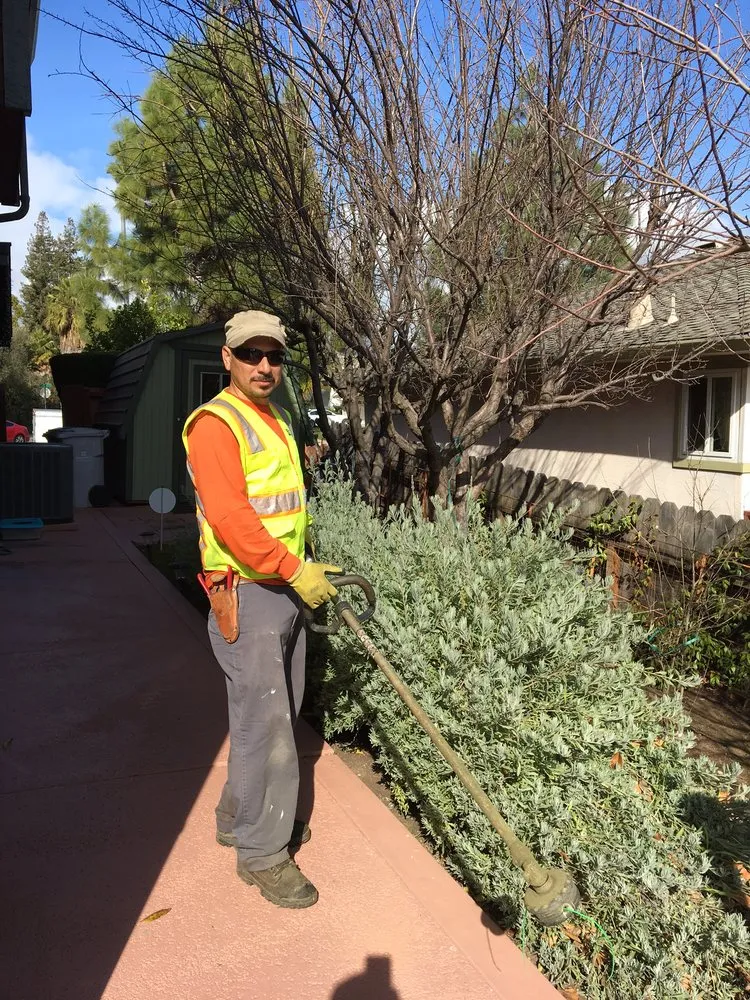 Local yard maintenance experts serving Hayward, CA - Ramon Villanueva's Gardening and Maintenance Lawn Aeration
