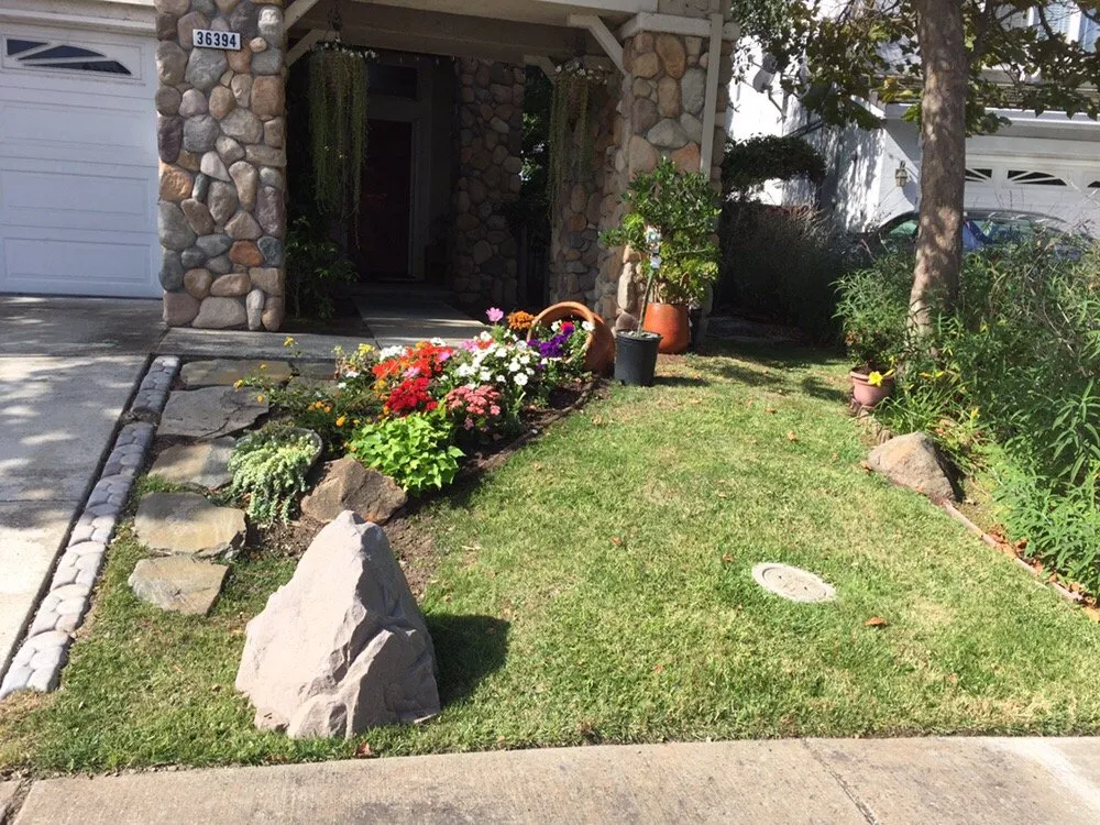 Local lawn mowing service experts serving Hayward, CA - Ramon Villanueva's Gardening and Maintenance Lawn Aeration