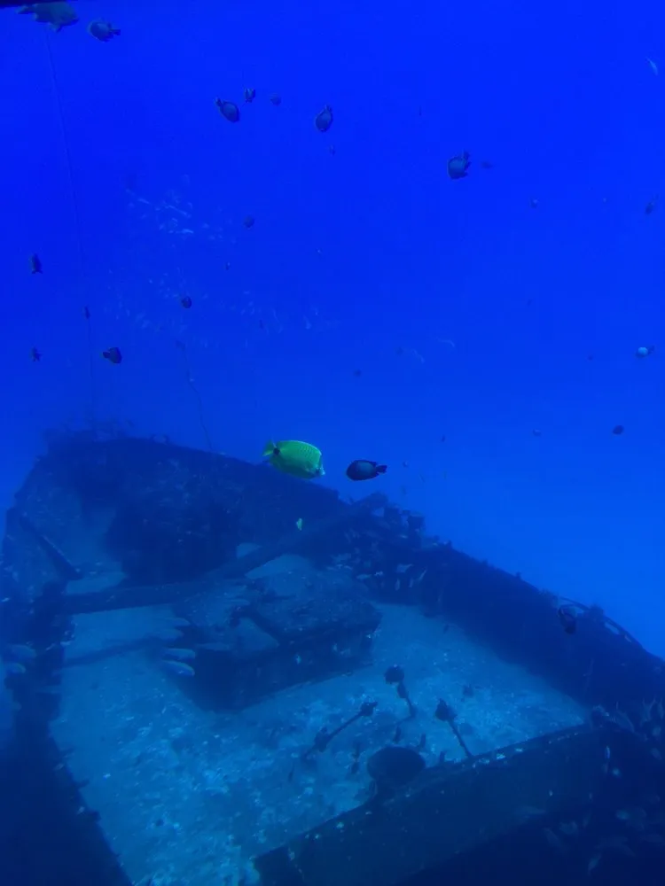 Local landscaping services for homes in Ramona, CA by Ramona Hydroponics