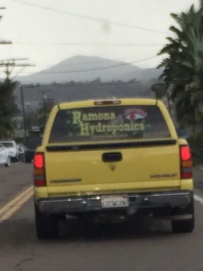 Expert landscaping services for beautiful yards across Ramona, CA - Ramona Hydroponics