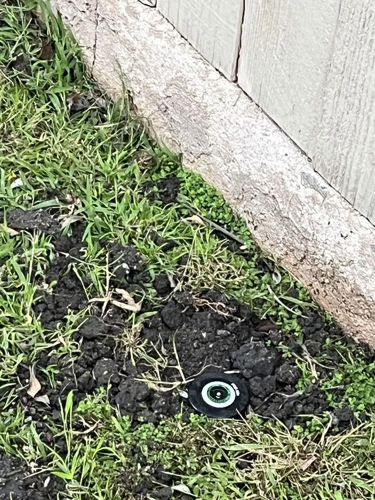 Custom lawn mowing service in Los Angeles, CA - Ramona's Son Services