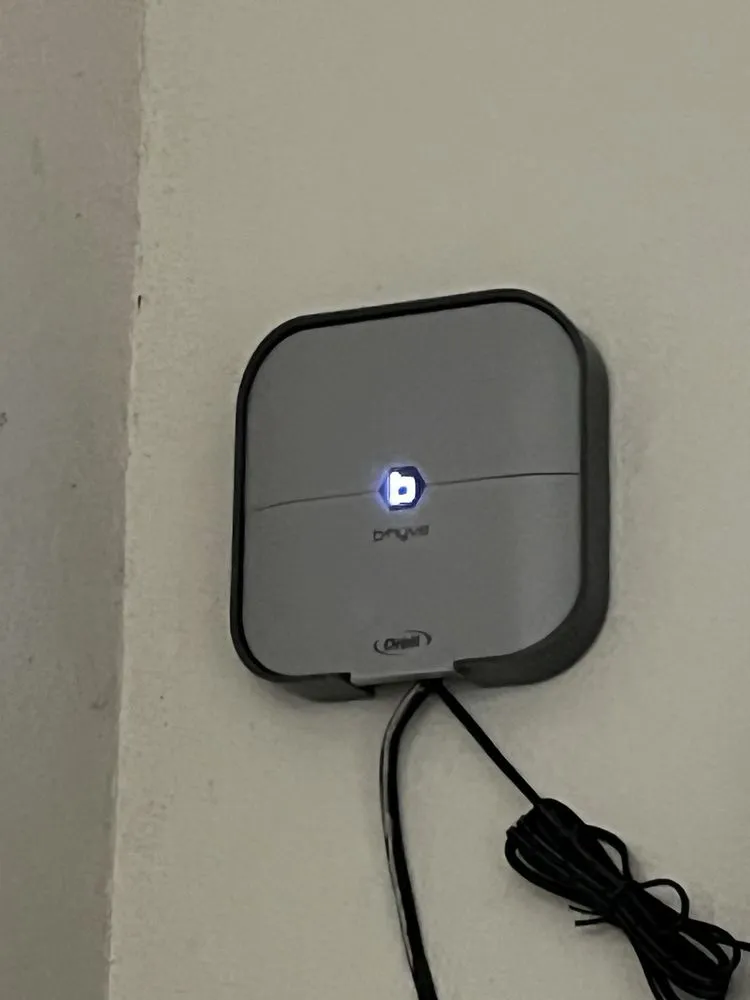 Reliable lawn care service for outdoor upgrades in Los Angeles, CA by Ramona's Son Services