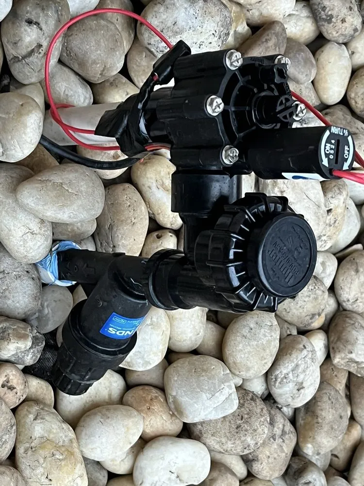 Top-rated residential landscaping for residential properties across Los Angeles, CA - Ramona's Son Services