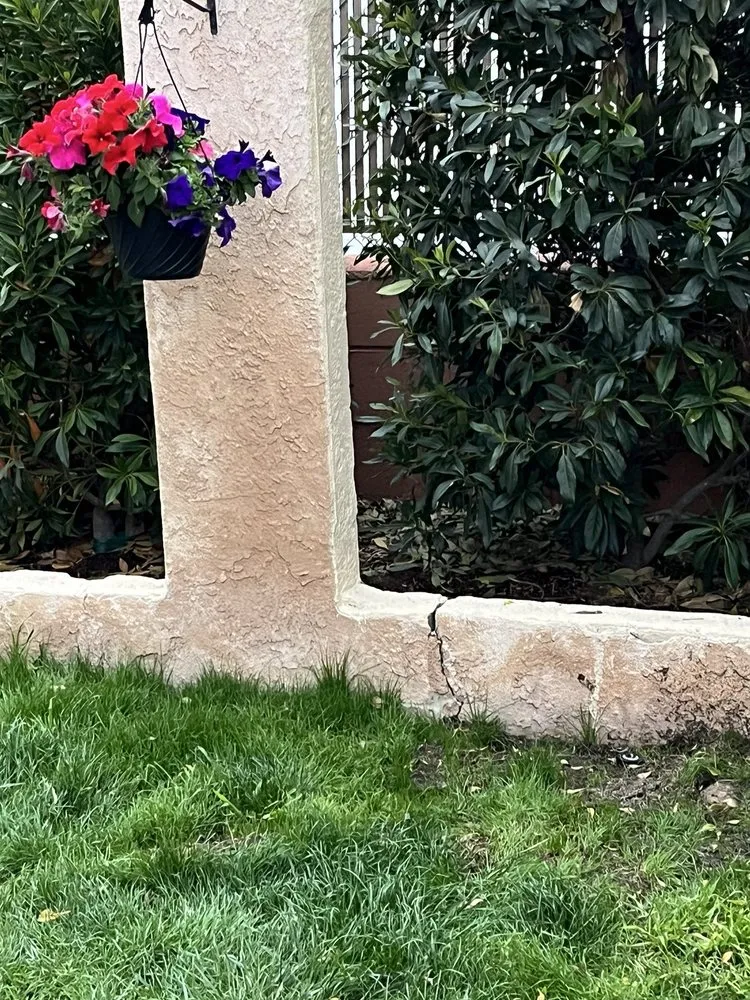 Trusted yard cleanup service in Los Angeles, CA - Ramona's Son Services